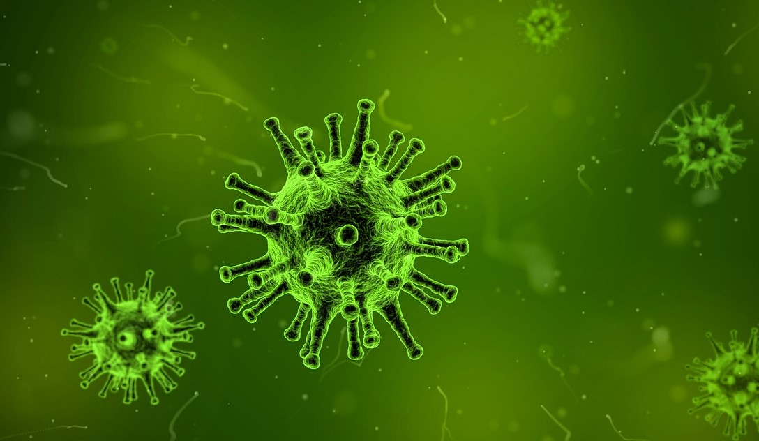 Информационно-методические   материалы о мерах   профилактики гриппа и ОРВИ
