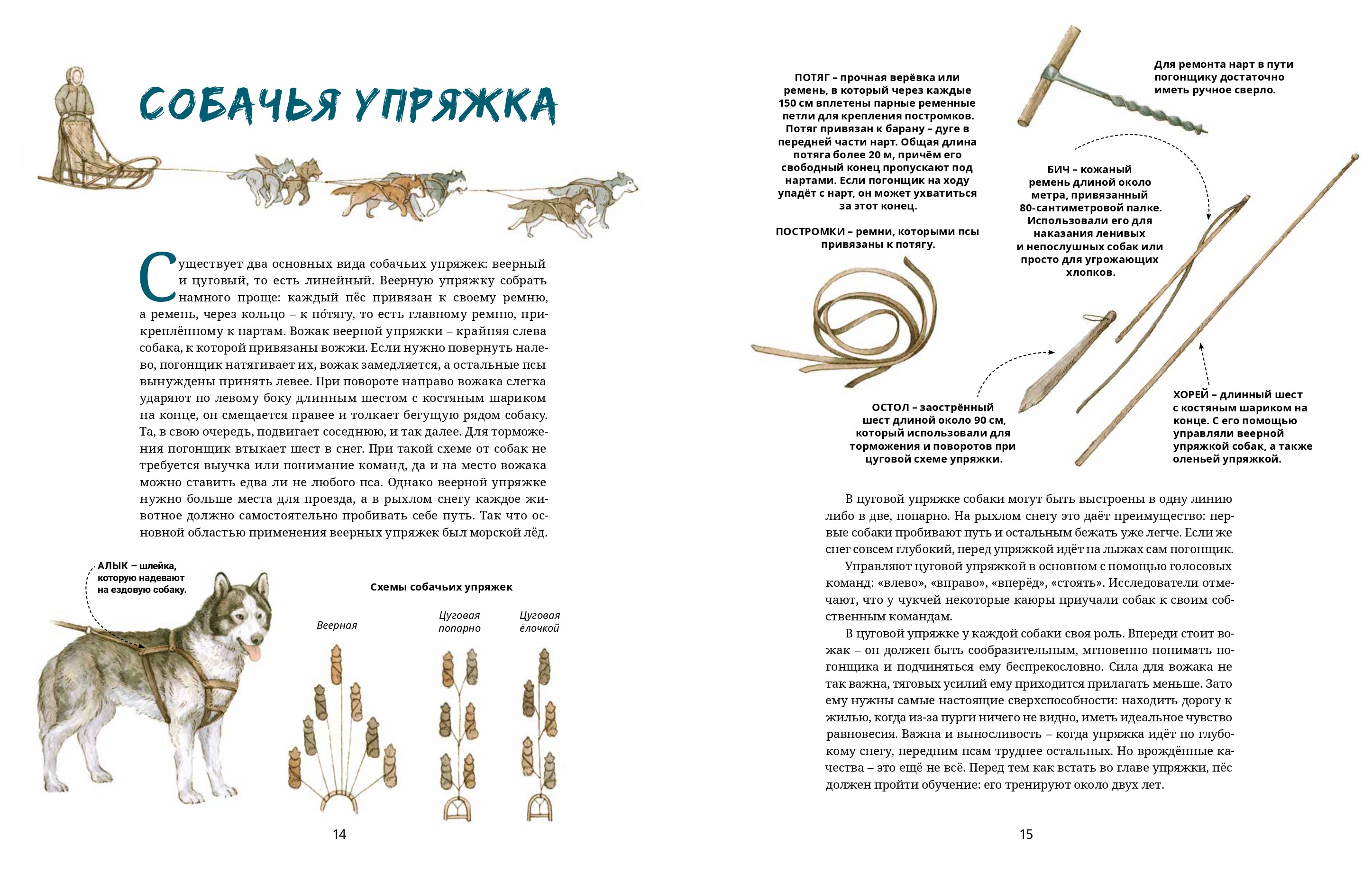 Сафонов, С. Ездовые собаки. Великий транспорт Севера / Савва Сафонова ;  худож. Елена Фролова. – Москва : Паулсен, 2023. – 48 с. : ил. – 6+